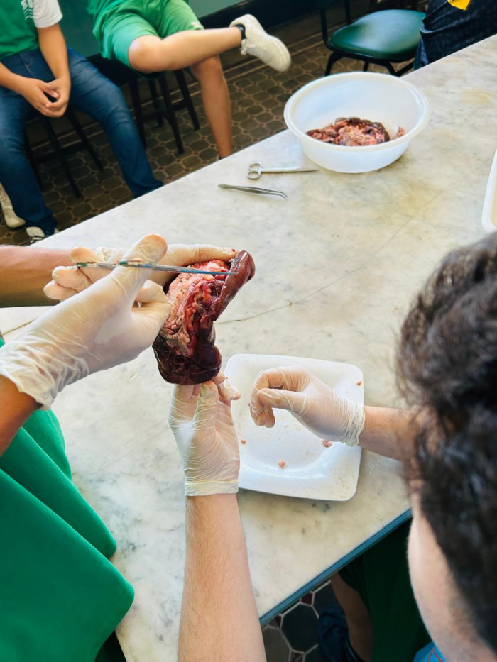 Itinerário Formativo Anatomia e Fisiologia Comparada