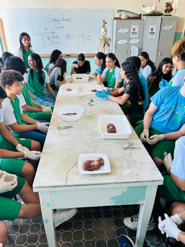 Itinerário Formativo Anatomia e Fisiologia Comparada