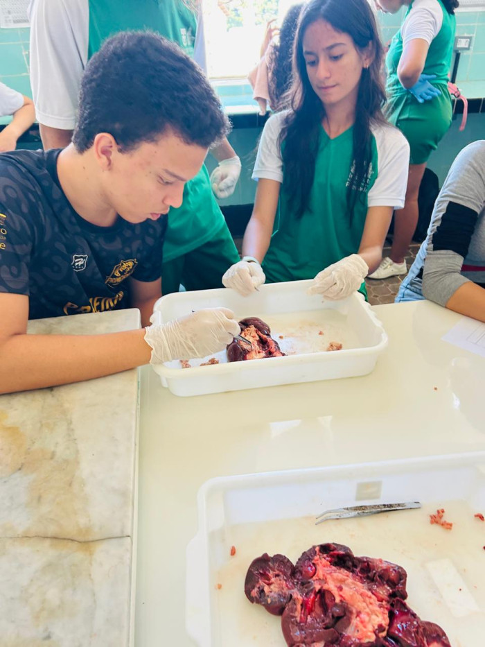 Itinerário Formativo Anatomia e Fisiologia Comparada