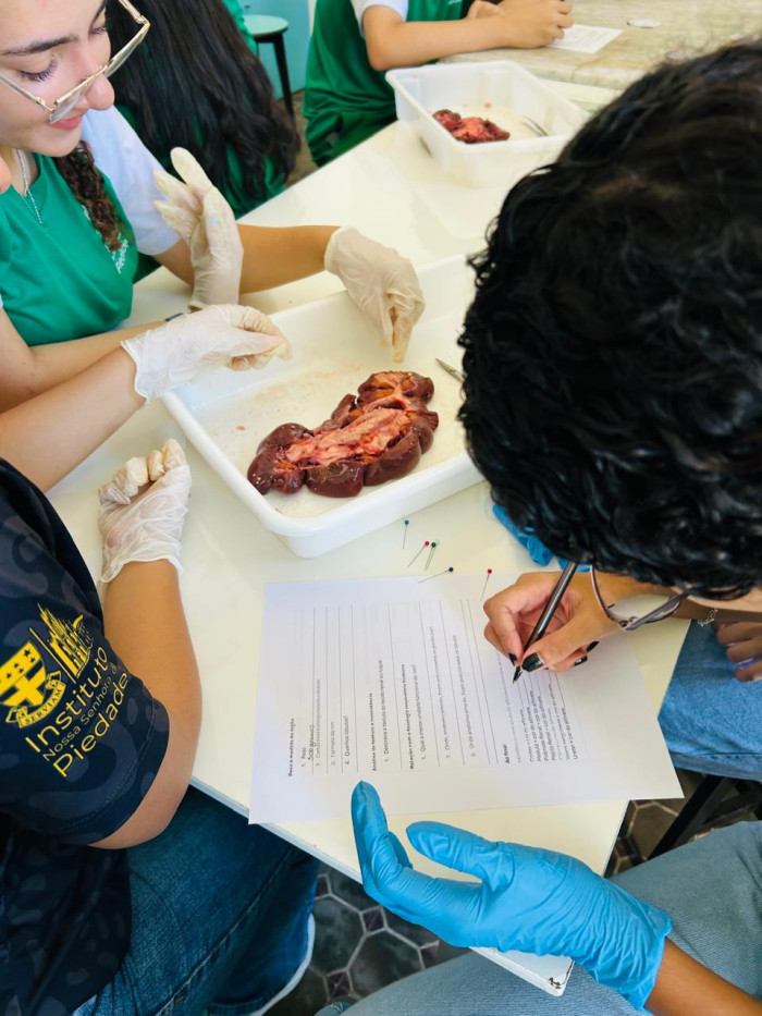 Itinerário Formativo Anatomia e Fisiologia Comparada