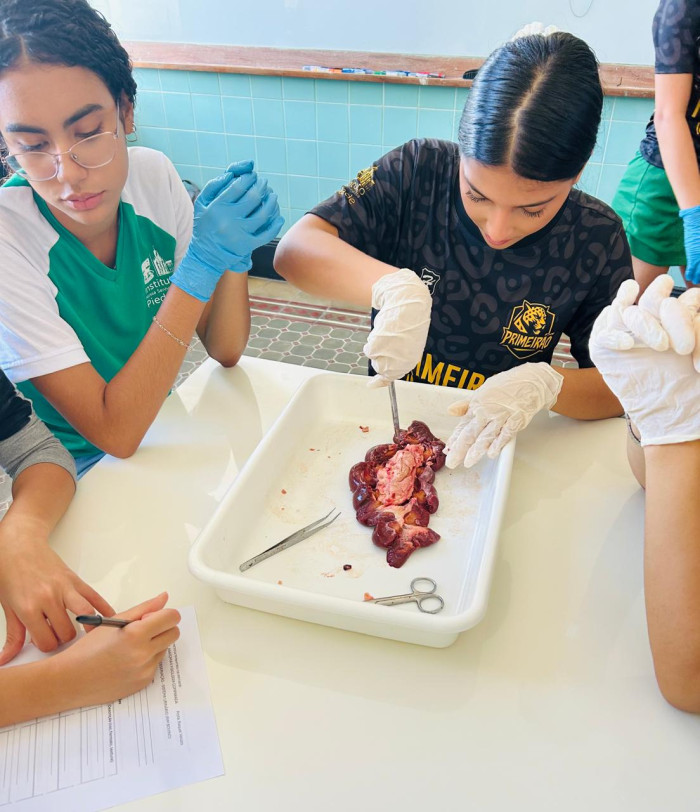 Itinerário Formativo Anatomia e Fisiologia Comparada