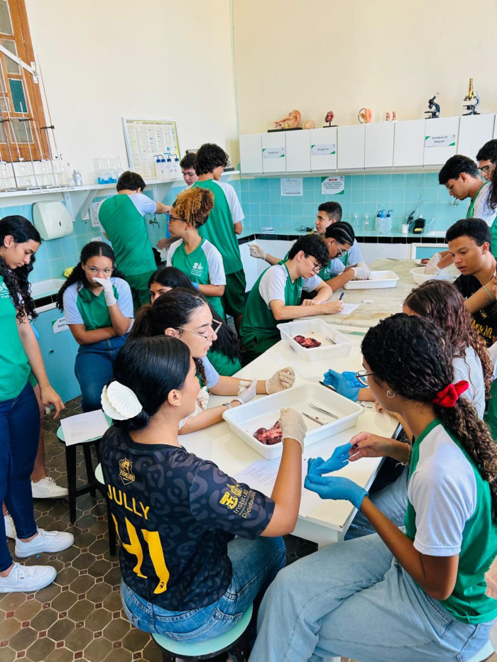 Itinerário Formativo Anatomia e Fisiologia Comparada