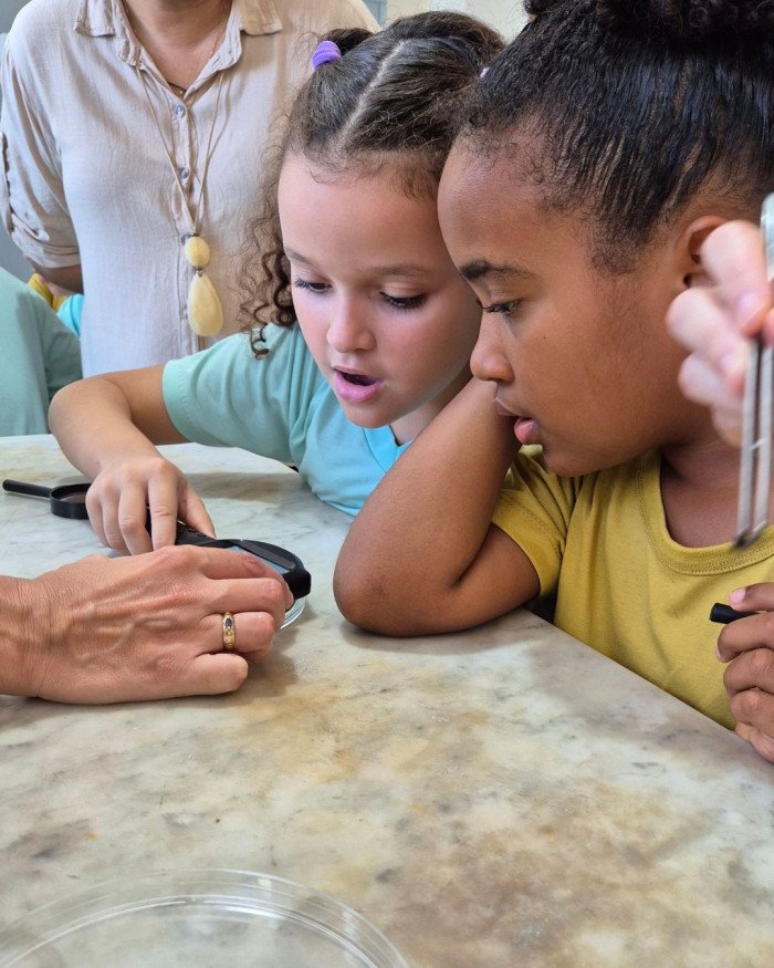 Pequenos cientistas em ação