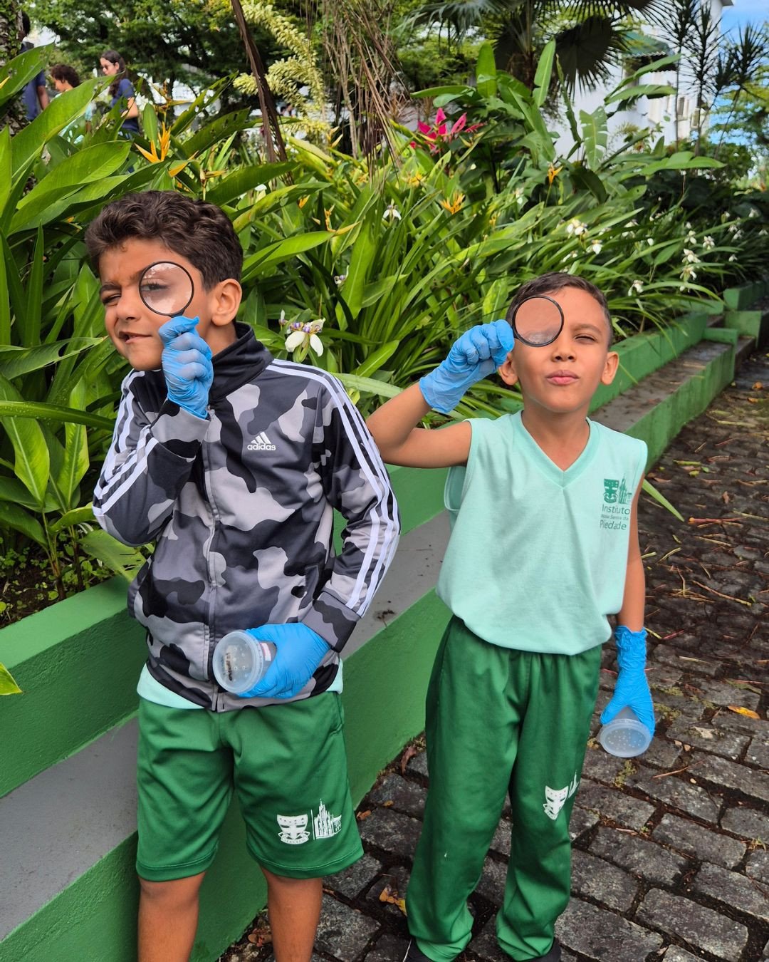 Pequenos cientistas em ação