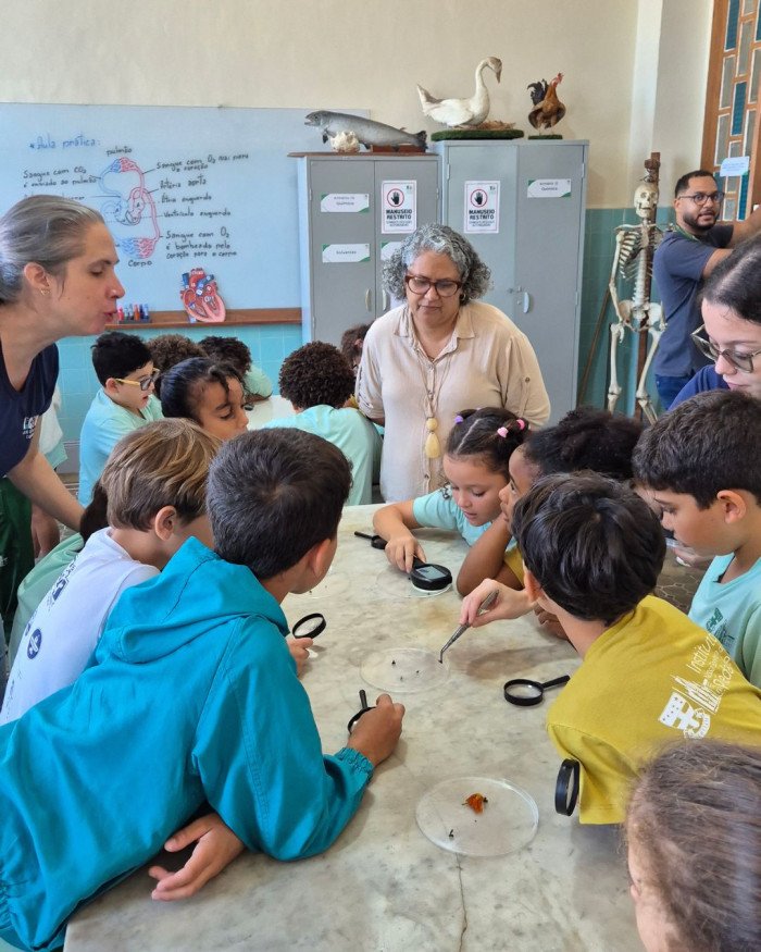 Pequenos cientistas em ação