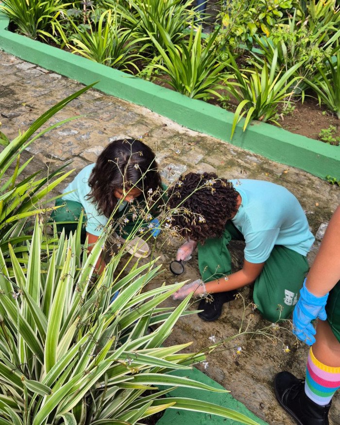 Pequenos cientistas em ação