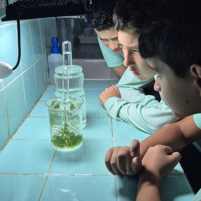 Aulas no laboratório
