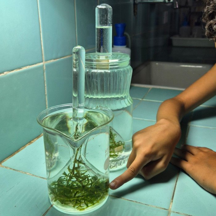 Aulas no laboratório