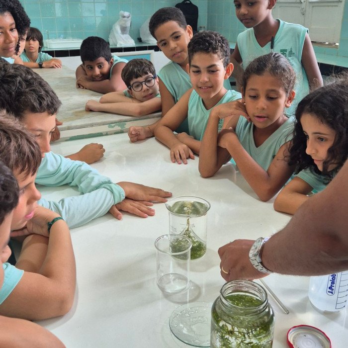 Aulas no laboratório