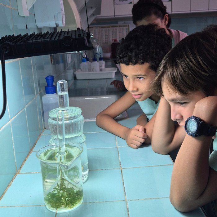 Aulas no laboratório