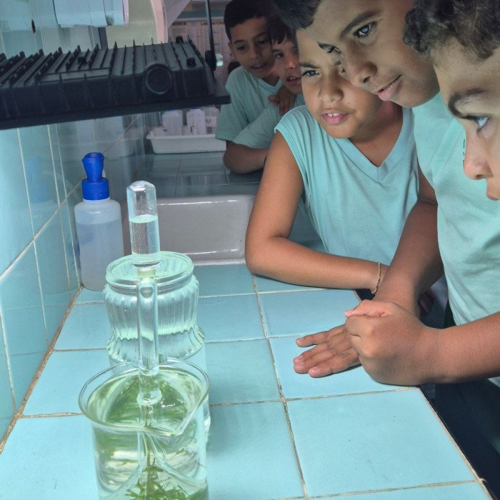 Aulas no laboratório