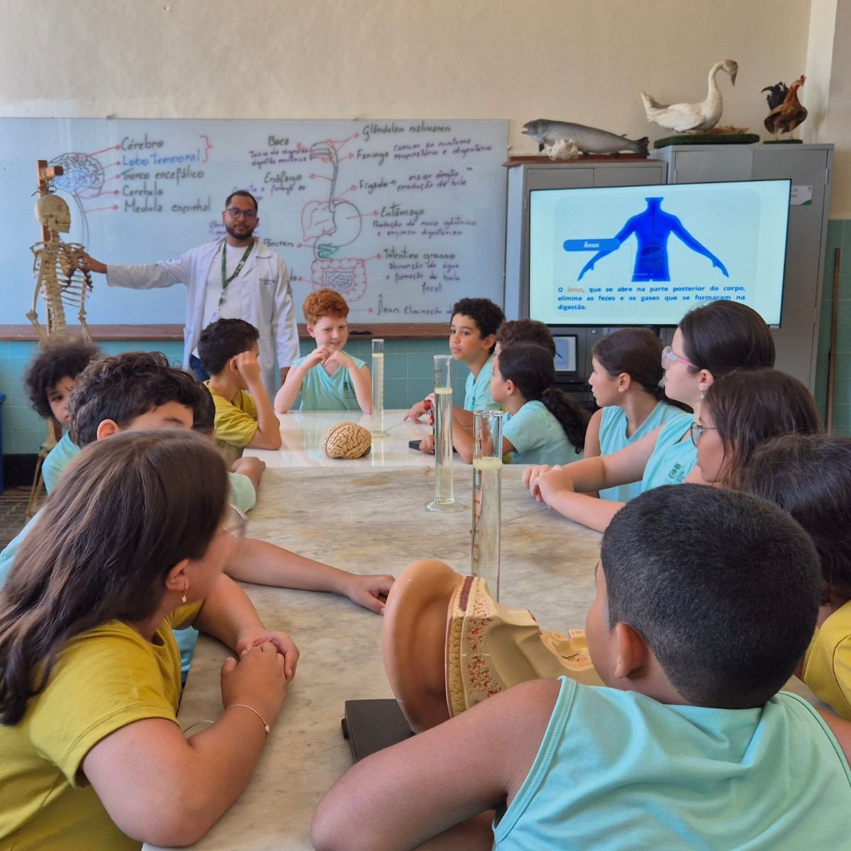 Aulas no laboratório