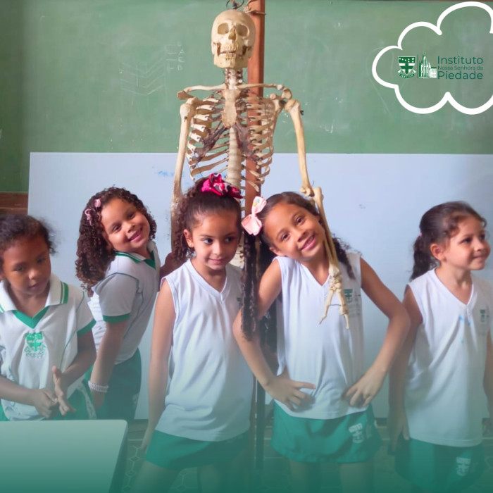 Aprendendo sobre os pilares do corpo humano: Os ossos