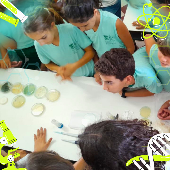 Cientistas Mirins em Ação