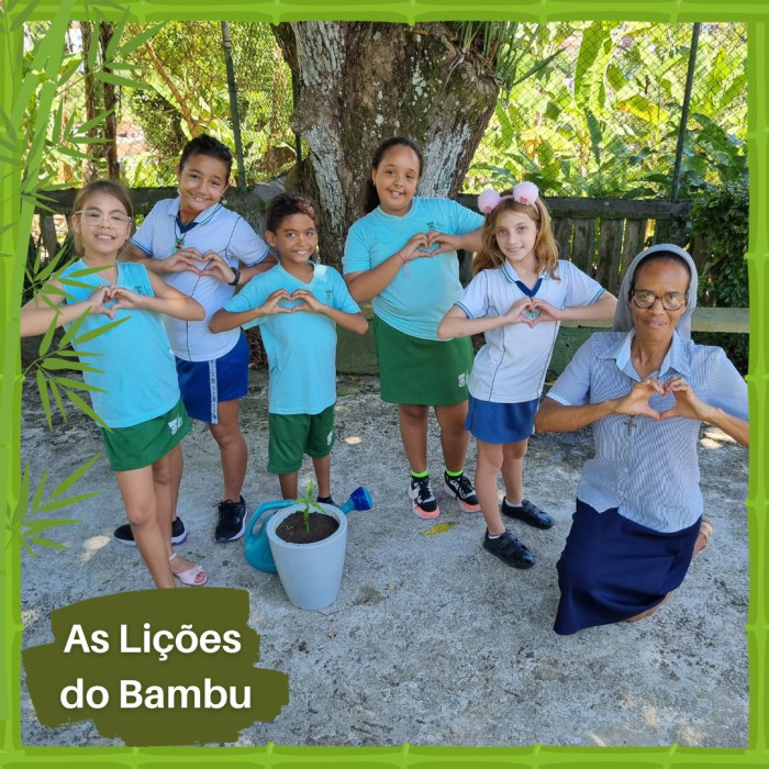 Lições Do Bambu